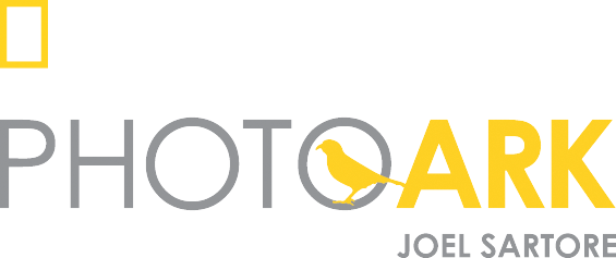 Logo of National Geographic, Photo Arc Joel Sartore in White and Yellow