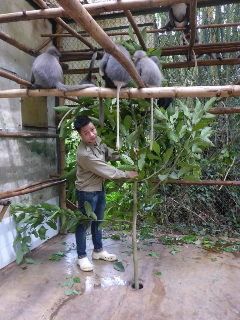 Enrichment for Primates at EPRC Endangered Primate Rescue Center