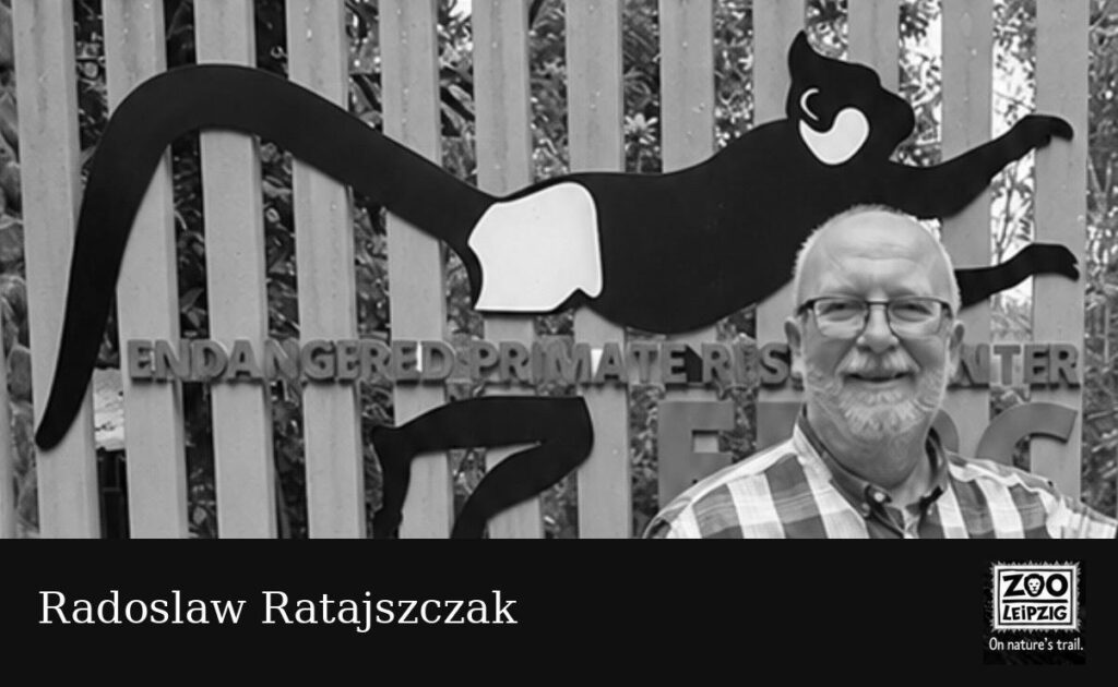 In Loving Memory of Radoslaw Ratajszczak It is with deep sadness that the Endangered Primate Rescue Center (EPRC) and Zoo Leipzig mourn the passing of Radoslaw Ratajszczak on 28 October 2026. Radoslaw dedicated many years of his life to wildlife conservation in Vietnam. His connection with Cuc Phuong National Park dates back to the early years of conservation efforts in the park. Over the years, he contributed his knowledge, experience and passion to the protection of Vietnam’s unique biodiversity. In 2023, he served as Director of the Endangered Primate Rescue Center before illness forced him to step back from this responsibility. Even after his illness, Radoslaw remained closely connected to Cuc Phuong and the EPRC. He continued to share his experience and ideas, returning to Vietnam for visits and consultations. In February 2026, he visited Cuc Phuong and the EPRC once more, accompanied by his family. He described this journey as a sentimental return to a place that had meant so much to him throughout his life. Nguyễn Văn Chính, Director of Cuc Phuong National Park, acknowledged Radoslaw’s important contribution to establishing the park’s reputation in nature conservation. His colleagues remember him not only for his professional dedication but also for his friendship, kindness and willingness to share his knowledge. Radoslaw’s commitment to wildlife conservation, his ideas and his deep love for Cuc Phuong will remain part of his lasting legacy. We extend our heartfelt condolences to his daughter Marta and his entire family. Thank you, Radoslaw, for everything you have contributed to conservation in Vietnam. You will always be remembered. Endangered Primate Rescue Center Zoo Leipzig