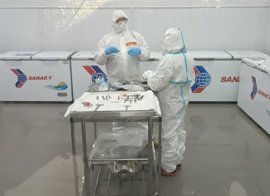 Two researchers in protective coverall are standing in the pathology at an operation table