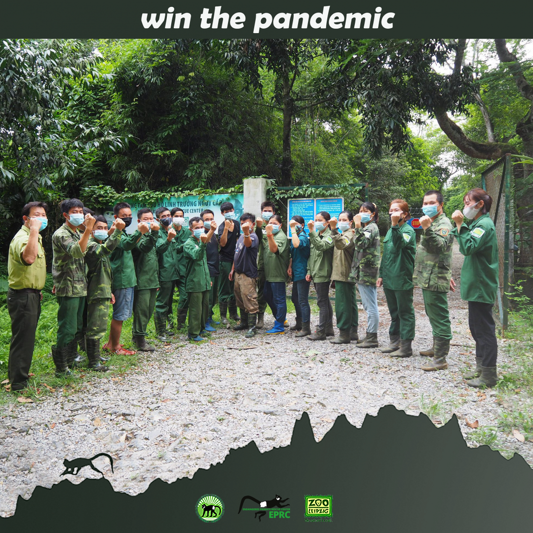 win the pandemic